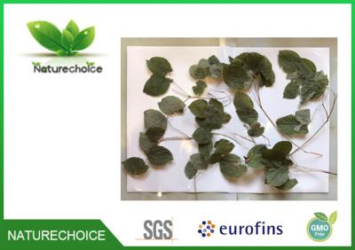 China Orgainc Dried Epimedium Leaf / Horny Goat Weed Leaf for sale