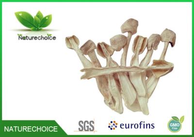 China Coprinus comatus ,Dry Coprinus comatus slice ,Chinese Coprinus comatus supplier for sale