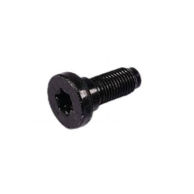 China Stainless steel Grade 8.8 10.9 40Cr 35Cr Black Zinc Plated  Torx cylinder head bolts  nuts screw for sale