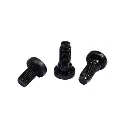 China Stainless steel Cylinder Head Bolt Carbon Steel Stainless Steel Torx Cylinder Head Bolt Anti-thief Bolts Security Screw for sale