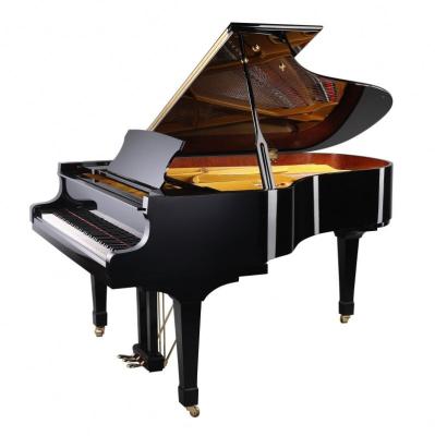 China Fashion Mechanical High Grade Grand Piano Nord Classic Grand Piano for sale