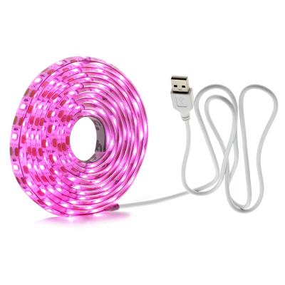 China Seed Seeding Factory Direct Supplier Usb Indoor Ordinary Plant Grow Light Strip for sale