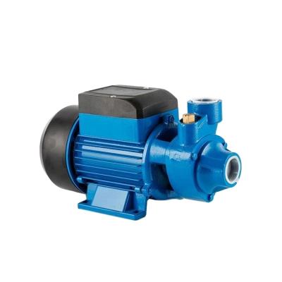 China Water 0.5 HP 0.37KW STRATEGY Series 60 Clean Water Pump for sale