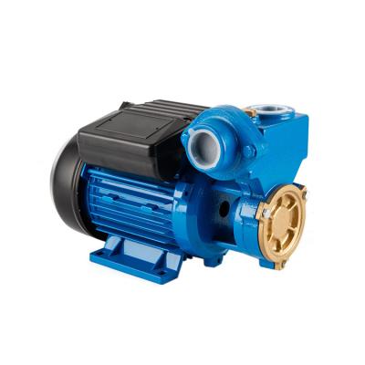 China Water Supply 0.2 HP 0.125 Kw DB Series 125 Water Pump for sale