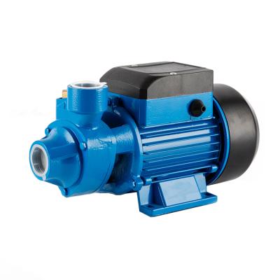 China Commercial Buildings Small Water Pump Hp Water Pump Electric Clean Water Pumps 0.5 for sale