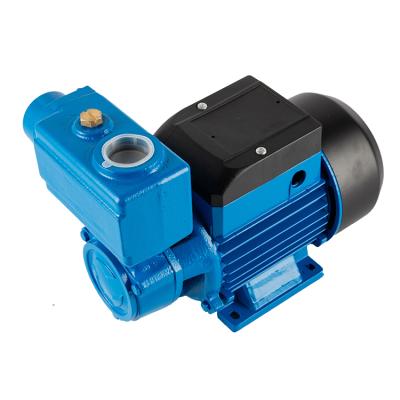 China Family Homes Automatic Good Suction Control Self-priming Valve TPS Water Pumps Clean Water Motor Electric Suction Motor for sale