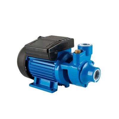 China Industrial Utilities Efficient Outdoor Pump Draw Water Sprinkling Electric Vortex Impeller Water Pump Peripheral Pressure Pump for sale