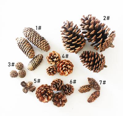 China Chirstmas Decor Factory Wholesale High Quality Natural Pinecones For Christmas Ornaments Pulling Props Dried Flowers for sale