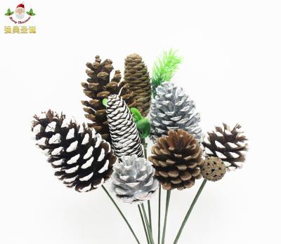 China Wholesale Natural Dried Glass Plant Flower Pinecones Eco - Friendly for sale