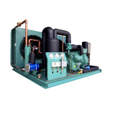 China Refrigeration Parts Refrigeration Unit Condensing Air Cooled Compressor Condensing Unit for sale