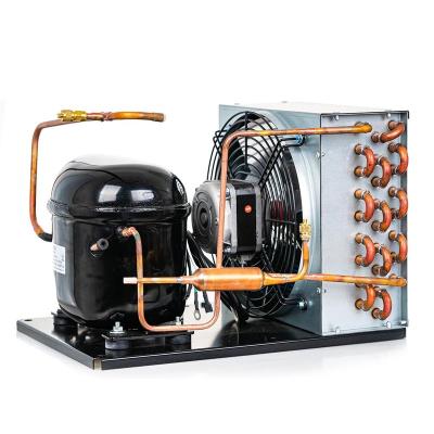 China Refrigeration Parts Condensing Unit For Sale Supplier Air Conditioning Condensing Unit for sale