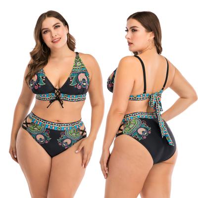 China Girls Breathable Bikini Top Plus Size 14 Swimwear Curvy Swimsuits For Women for sale