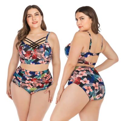 China Breathable Plus Size Swimwear Two Piece High Rise Bikini Swimsuit Tops For Women Large Bust for sale