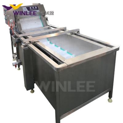 China High Efficiency Vegetable Fruit Washing Machine Bubble Seal Fruit And Vegetable Cleaning Machine for sale