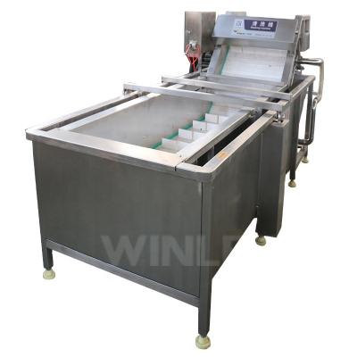 China High Efficiency Frozen Fish Cleaning Machine Automatic Fish Bubble Cleaning Machine for sale