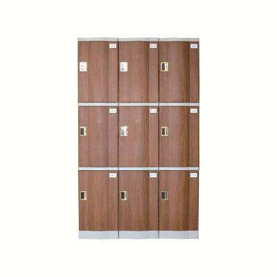 China Environmental Protection And No Rust Swimming Pool Coin Locker Color ABS Locker Brown Lockers for sale