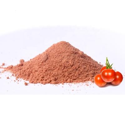 China Dry Hot Sale Tomato Powder Ketchup Gasoline Powder For Potato Chips for sale