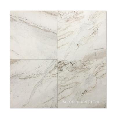 China Indoor Decorative Glorious White Marble Flooring And Flooring Tiles 18x18 Wall And Wall Tiles Polished for sale