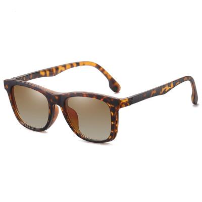 China Fashion Sunglasses HISTORY FDY95913 Leopard Polarized Sunglasses Women Vintage Designer Sunglasses 2021 for sale