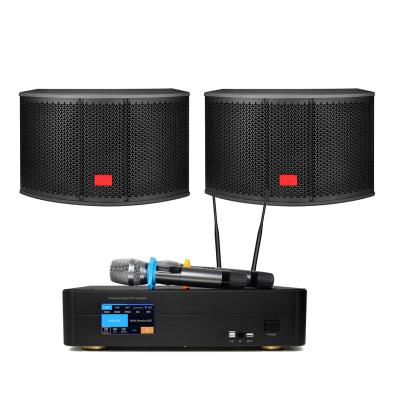 China Alloy+ABS Professional Professional 10 Inch Karaoke Speaker+250W Karaoke Amplifier Set for sale