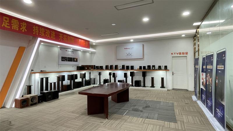 Verified China supplier - Guangzhou Deshun Audio Co., Ltd.