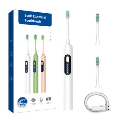 China Sonic Cleaning Ipx Electric Toothbrush 7 Powerful Oral PP Soft Multifunctional White Rechargeable for sale