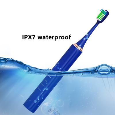 China IPX7 Household Toothbrush Waterproof Powerful Travel Rechargeable Sonic Electric Toothbrush For Adult for sale