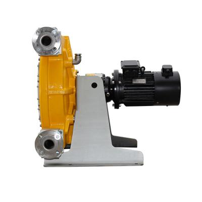 China Automotive Industry High Cost Performance Industrial Hose Pump Industrial Hose Peristaltic Pump for sale