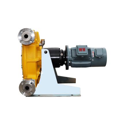 China Automotive Industry Hottest Selling Small Portable Durable 50HZ/60HZ Diaphragm Pumps for sale