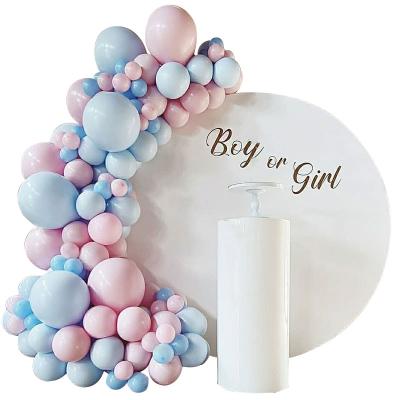 China Party Decoration Macaron Theme Balloon Garland Arch Kit Gender Reveal Party Supplies for sale