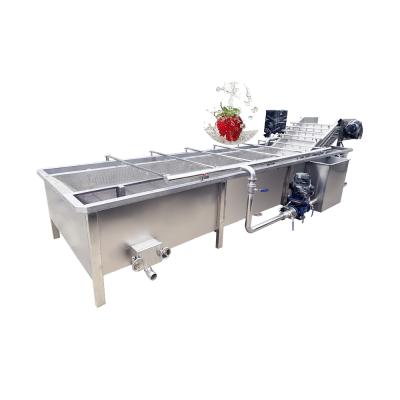 중국 fruit and vegetables bubble cleaning and washing machine conveyor fruit washing machine 판매용