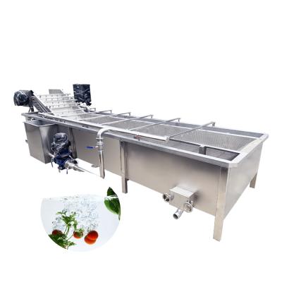 중국 Industrial Vegetable Bubble Washing Machine For Tomato Applicated In Dairy Products Factory 판매용