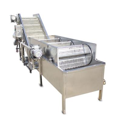 China Industrial Vegetable Fruit Washer Cabbage Remove Stone Washing Machine for sale