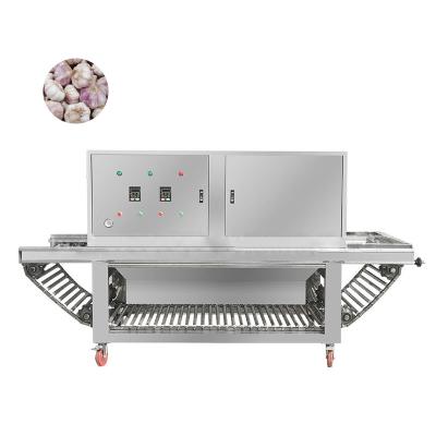 China Electric Garlic Peeler Processing Machine Energy Saving And Convenient Cleaning à venda