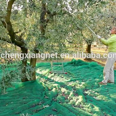 China Manufacture of Olive Harvest Net/China Supply 100% Agricultural HDPE Olive Harvest Net/Olive Net for sale