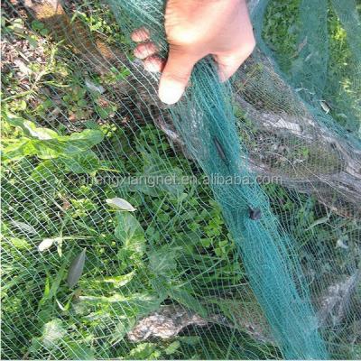 China Gathering of HDPE Greece's natueally fallen Olive Net Harvest olive collection for sale