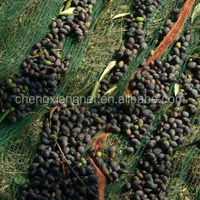 China Mono Wire Olive Harvest Net, Olive Catching Net, Olive Picking Netting for sale