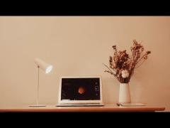 LED Desk Light D08