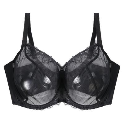 China Full cup underwear QUICK DRY hot selling bras lace up embroidered sexy transparent lingerie push up plus size women big bra for sale