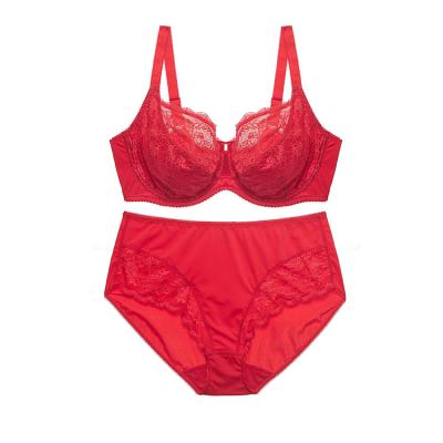 China Sustainable OEM/ODM/OBM Service Ladies Underwear Bra Set for sale