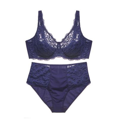 China BEIZHI Women Viable Bra Plus Size Sexy Bra And Panties Transparent Lace Underwear Set for sale