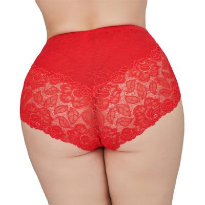 China New Design Elastic Lace Breathable Hollow Out Transparent Plus Size Big Butt Women Sexy Underwear Panties for sale