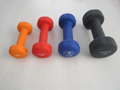 China Casting Dumbbell Manufacturer in China for sale