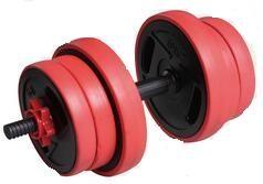 China Best Quality Dumbbell for Gym Clubs for sale