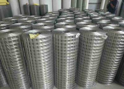 Chine 0.6m AISI SS316 ont soudé le fil Mesh Fencing Rolls Rectangle à vendre