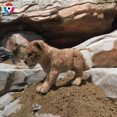 China Small Realistic Animatronic Motion Simulation Lion For Museum Display for sale