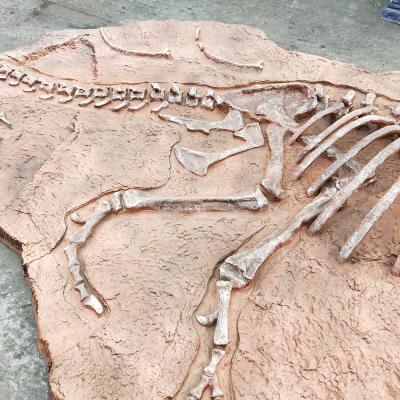 China Lifelike Motion Tyrannosaurus Rex Dinosaur Dig Site Fiberglass Artificial Fossil For Sale for sale