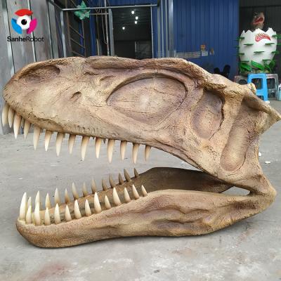 China Realistic T-REX Motion Artificial Dinosaur Head Dinosaur Skull Fiberglass Fossil For Sale for sale