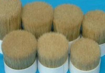 China boiled bristles for sale