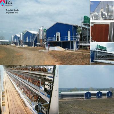 China Poultry House With Equipment Algeria Poultry Farm Building Poultry Equipment Poultry Feed Making Machine for sale